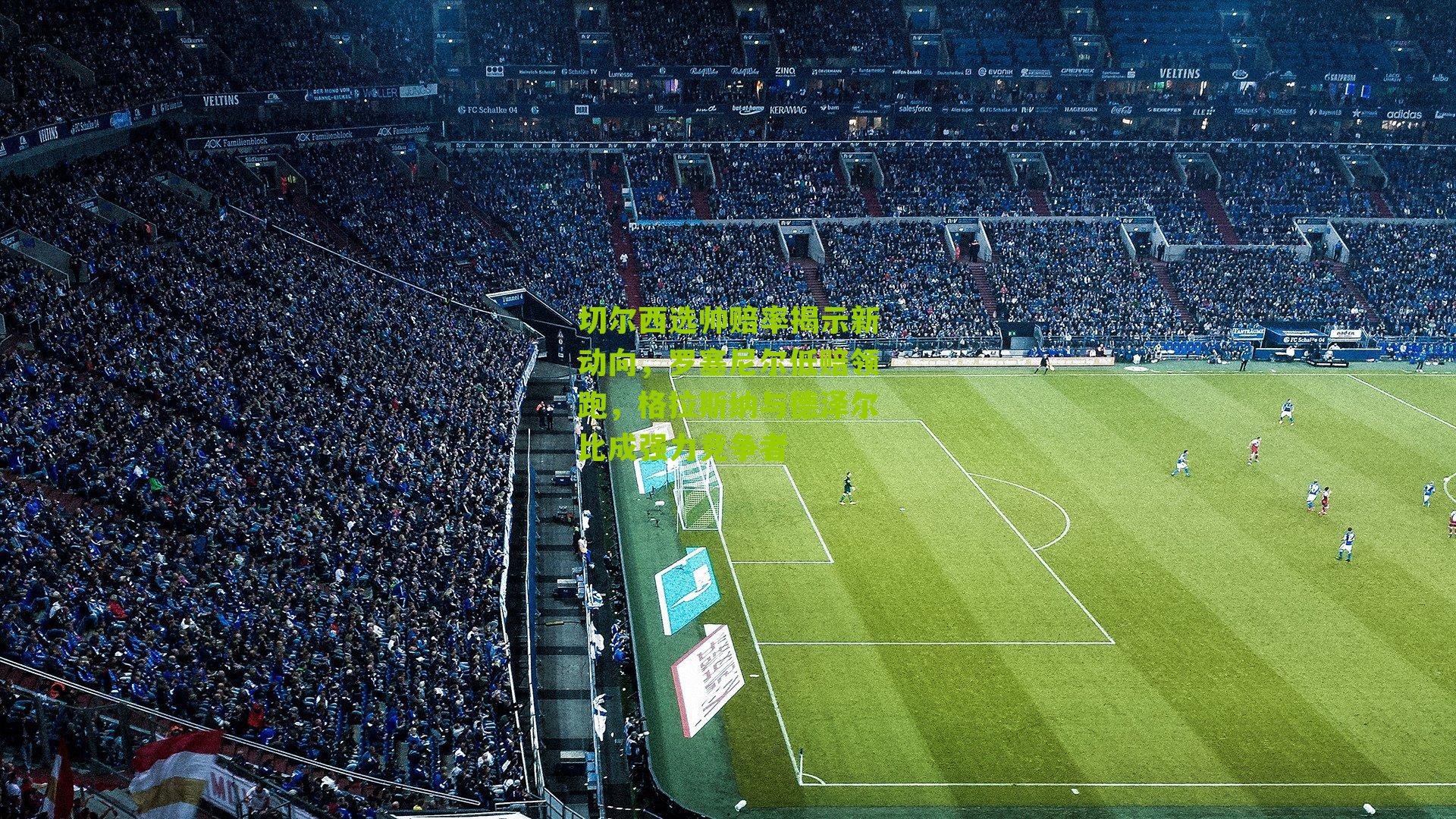 切尔西选帅赔率揭示新动向，罗塞尼尔低赔领跑，格拉斯纳与德泽尔比成强力竞争者